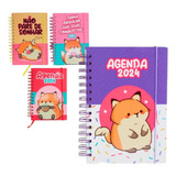 Agenda 2024 Espiral Feminina