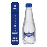 Agua Mineral Caxambu Sem Gás Kit 12x300ml