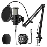 ALABS Microfone Condensador XLR Kit
