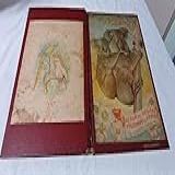 Album Das Magicas Figurinhas De Animais Do Mundo Inteiro Completo Ed Vecchi 1952