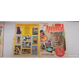 Album Figurinhas Reino Animal 1981 Completo C Encarte A2