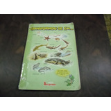 Album Surpresa Dinossauros Completo