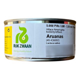 Alface Americana Aruanas Rijk Zwaan 5000 Sementes