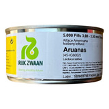 Alface Americana Hidroponia Aruanas Rz 5000 Sementes