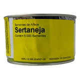 Alface Crespa Sertaneja Enza 5000 Sementes Horta Hidroponia