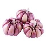 Alho Roxo 1kg Nacional Plantio E Consumo Selecionados