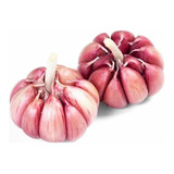 Alho Roxo Nacional N 8 Graúdo Inteiro Caixa 10kg 