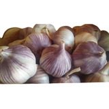 Alho Roxo Selecionado Pacote Com 500g Direto Do Produtor