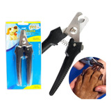 Profissional