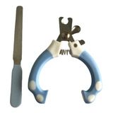 12cm