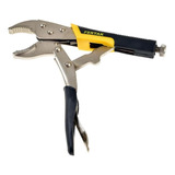 Profissional