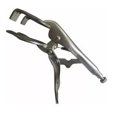 Sata