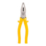 Profissional