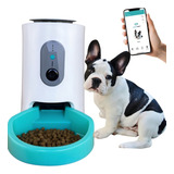 Alimentador Inteligente À Bateria C Câmera Para Cães gatos Cor Branco