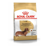 Alimento Royal Canin Breed Health Nutrition Dachshund Para Cão Adulto De Raça Mini E Pequena Sabor Mix Em Sacola De 2 5kg