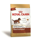 Alimento Royal Canin Breed Health Nutrition Dachshund Para Cão Filhote De Raça Pequena Em Sacola De 2 5kg