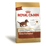 Alimento Royal Canin Breed Health Nutrition Dachshund Para Cão Filhote De Raça Pequena Em Sacola De 2 5kg