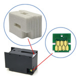 Almofada Chip Da Caixa De Manutenção T6716 Epson Wf 5790