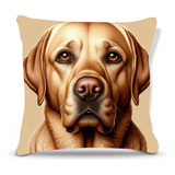 Labrador
