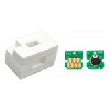 Almofada Esponja Feltro Chip T6716 P Epson Wf C5290 C5210