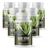 Aloe Vera Planta Medicinal Cápsulas 6 Potes Babosa Legitima