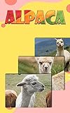 Alpaca Kingdom An Illustrated Guide