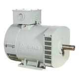 Alternador 5 2 Kva Monofásico 4 Polos Ta5 2cs 270 002 Toyama