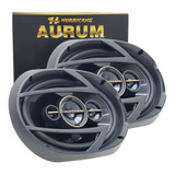 Alto Falante 6x9 Pol Hurricane A69q 260w Rms Aurum par