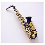 Alto Saxofone Professional EB Original Superfície