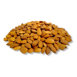 Alibune