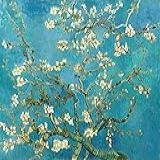 Quadro