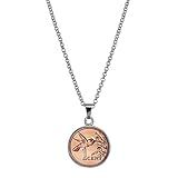 American Coin Treasures Colar Com Pingente De Moeda Beija Flor Bronze