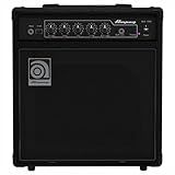 AMPLIFICADOR COMBO AMPEG BAIXO 15W 1X8
