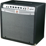 Amplificador Cubo Para Baixo Combo Contrabaixo Staner B240 Cor Preto