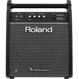 Amplificador Monitor Roland Pm 100 Para