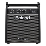 Amplificador Roland Pm 100 P