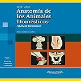 Anatomia De Los Animales Domesticos