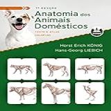 Anatomia Dos Animais Domésticos Texto