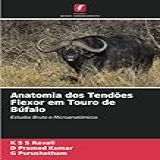 Anatomia Dos Tendões Flexor Em Touro