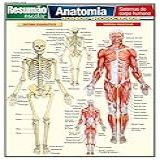 Anatomia