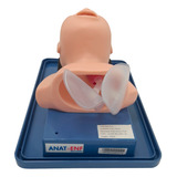 Anatomic Simulador Cabeça De Bebê Intubação Avançado Simulador Médico