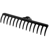 Dentes