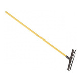 Dentes