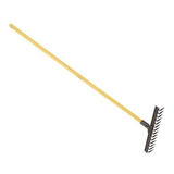 Dentes