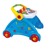 Andador Didático Brinquedo Infantil Bebê Poliplac 5917