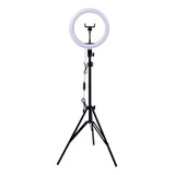 Anel De Luz Led Tripé De 10 Polegadas Inclinação Portátil Estrutura De 180 Anel Colorido Luz Led De 26 Cm 3 Tons Luz Branca Luz Quente E Luz Natural Inclinação De Rotação De 360 180
