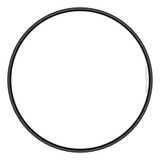 Anel Vedação P Cabeçote Filtro Canister Sunsun Hw 403