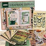 ANERZA Kit Vintage De 411 Peças Para Scrapbooking Adesivos De Papel Para Cadernos De Recortes Efêmeras Para Diários De Lixo Adesivos Washi Decoração Cottagecore Scrapbook E Suprimentos De