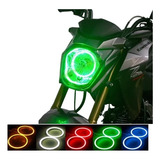Expamp