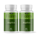 Angélica arcangélica Chá Em Cápsulas 500mg Kit 2 Potes